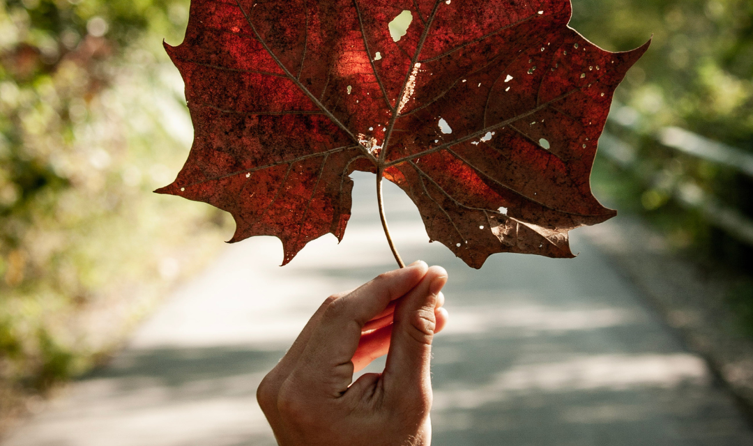 Fall HVAC Prep 101: Expert Tips for Getting Your System Ready for Autumn