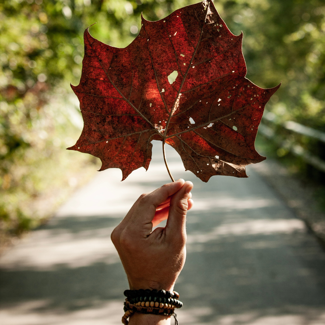 Fall HVAC Prep 101: Expert Tips for Getting Your System Ready for Autumn